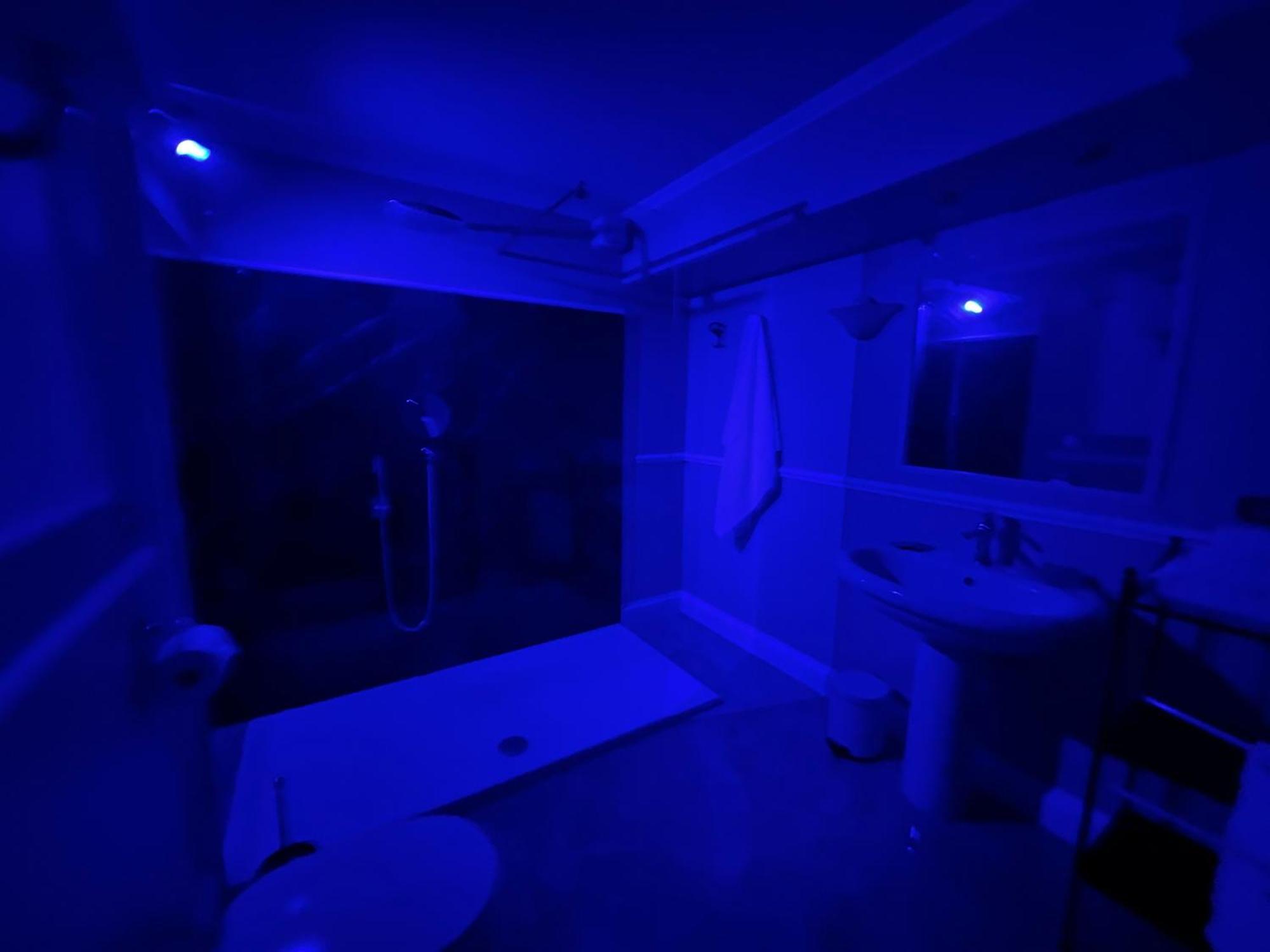 רומא Veronica Suite מראה חיצוני תמונה